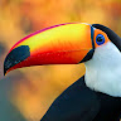 Deirdre  is looking for a Room / Studio / Apartment / Rental Property in Rotterdam