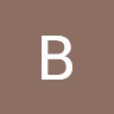 Bakr 